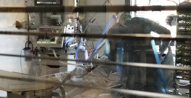 photo le virus circule toujours énormément dans l’orne. &copy; ouest-france