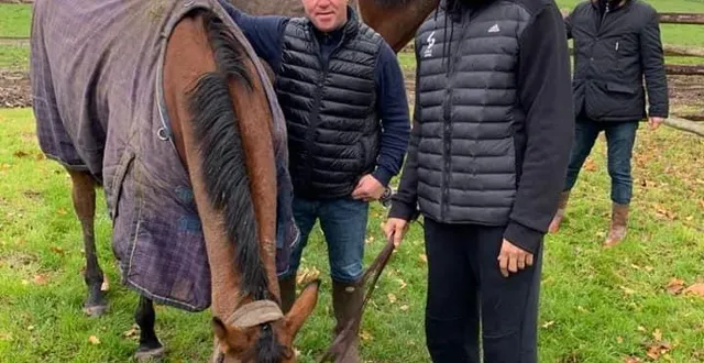photo tony parker a fait connaissance avec la jument best win dont il est propriétaire. &copy; haras des sablonnets