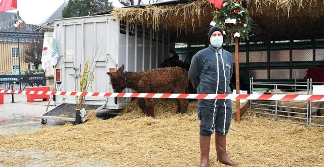 photo « on perd entre 450 à 500 € en moyenne par bête », dénonce, eric naveau, éleveur de brins-sur-gée membre de la fdsea. &copy; le maine libre