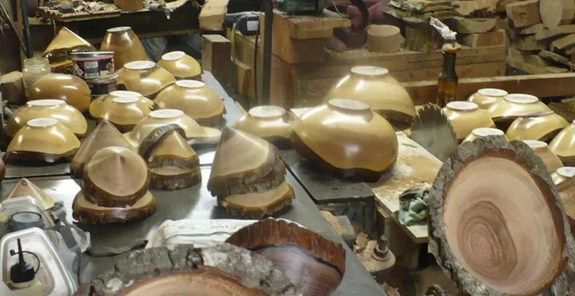 photo dominique plessis dans son atelier. &copy; dr