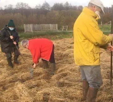 photo les bénévoles de bpn ont planté des saules pour produire de l’osier. &copy; ouest-france