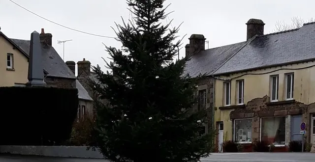 photo le sapin installé devant l’église de ciral (orne) fin novembre 2021.  &copy; ouest-france