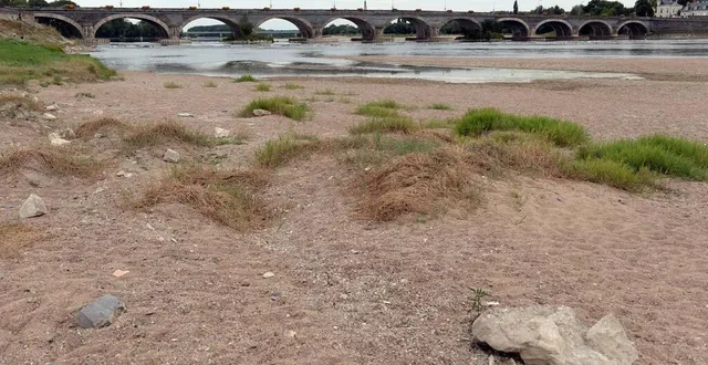 photo la loire en été aux ponts-de-cé. &copy; co – josselin clair