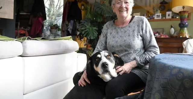 photo dans le quartier de surimeau, geneviève gaillard vit une retraite paisible avec cajou qui ne la quitte plus depuis 2008 et son élection à la mairie. &copy; co – marie delage