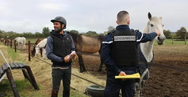 photo au haras de vaunaval, au lude (sarthe), les gendarmes étaient venus à la rencontre d’axel et carole coutte, qui veillaient sur 45 chevaux et poneys. photo d’illustration. &copy; ouest-france