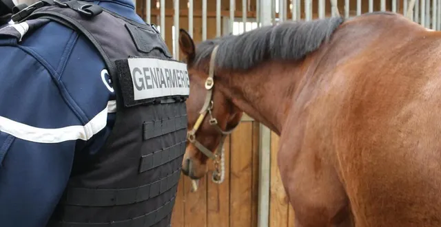 photo en sarthe, seules deux affaires sur dix seraient imputables à une action humaine selon les gendarmes. &copy; archives ouest-france