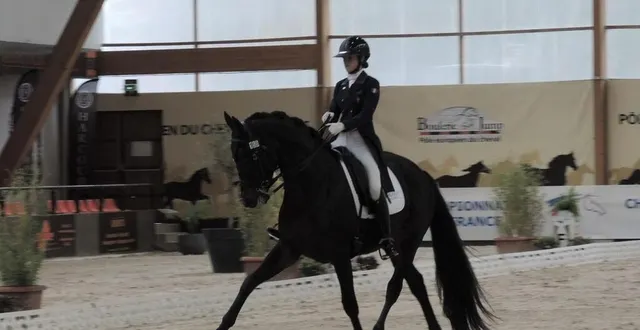 photo retour des concours en sarthe ce week-end. &copy; photo le maine libre