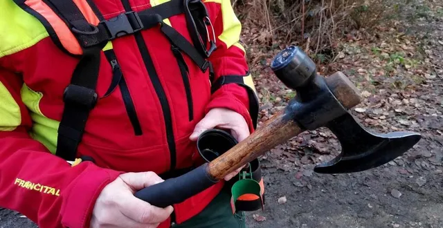 photo le marteau de martelage du forestier est un outil unique et numéroté au greffe du tribunal. &copy; ouest-france