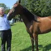 photo rainer engelke dans son haras d’échauffour, dans l’orne