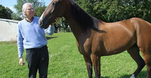 photo rainer engelke dans son haras d’échauffour, dans l’orne &copy; archives ouest-france
