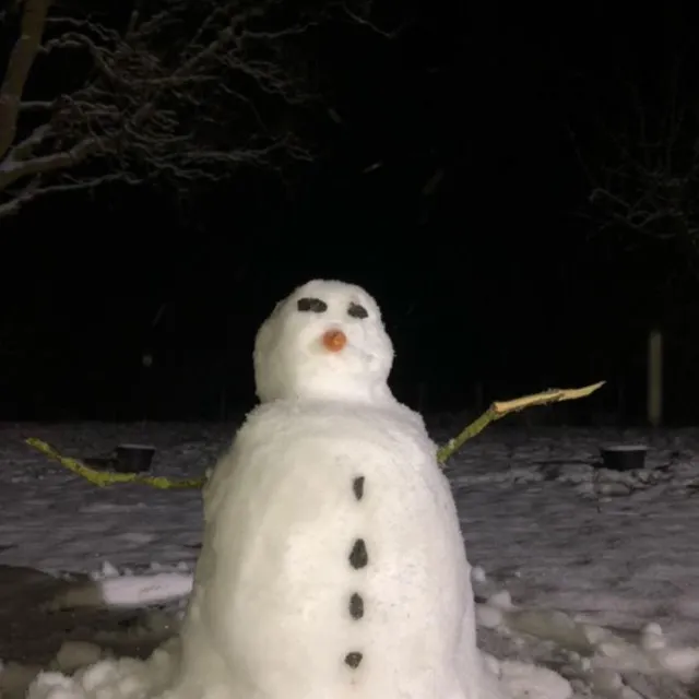 photo un nouvel habitant à mézeray  ©  photo internaute