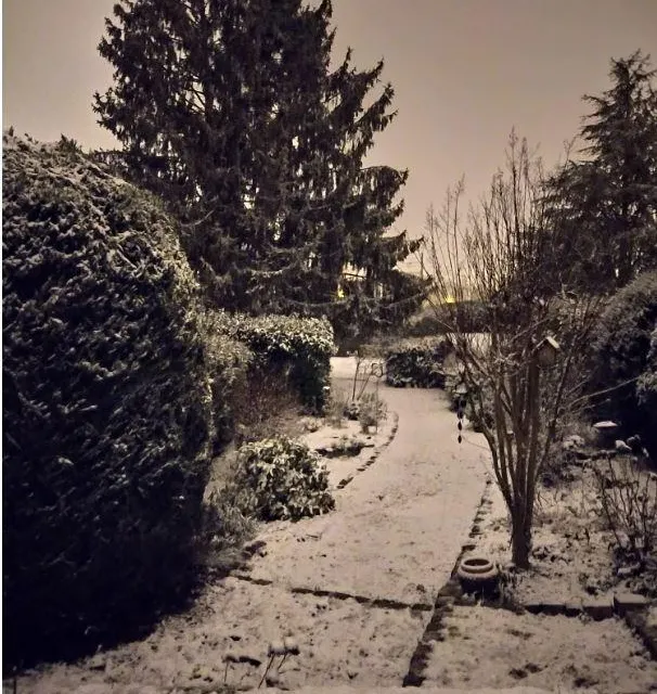 photo le mans  ©  photo internaute