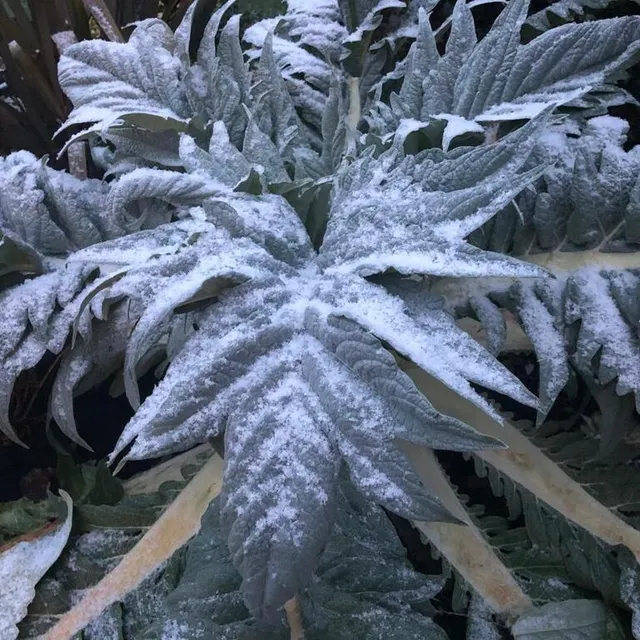 photo la neige à ballon-saint-mars  ©  photo le maine libre