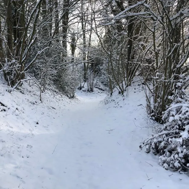 photo à neuvy-en-champagne, pas un bruit, sauf celui des chaussures sur la neige…  ©  le maine libre