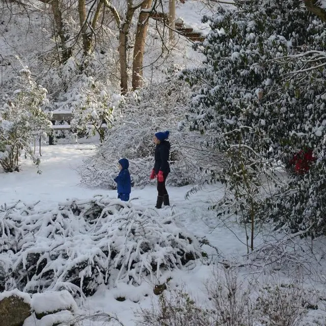 photo au parc banjan, au mans  ©  le maine libre