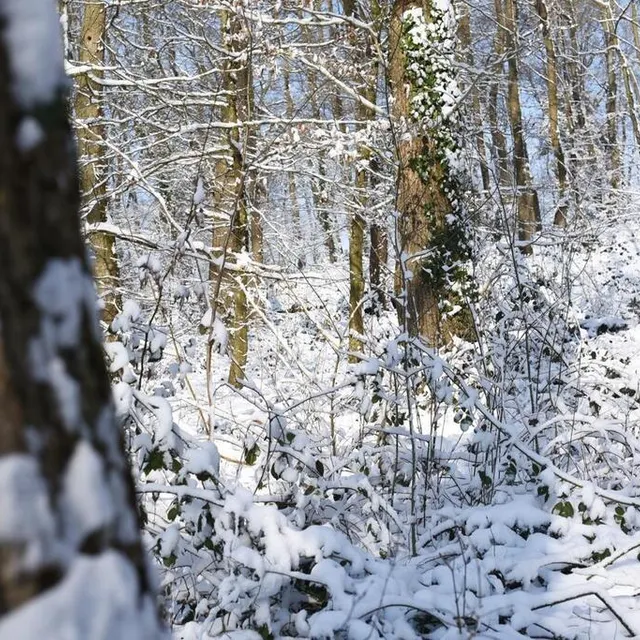 photo sablé-sur-sarthe.  ©  le maine libre