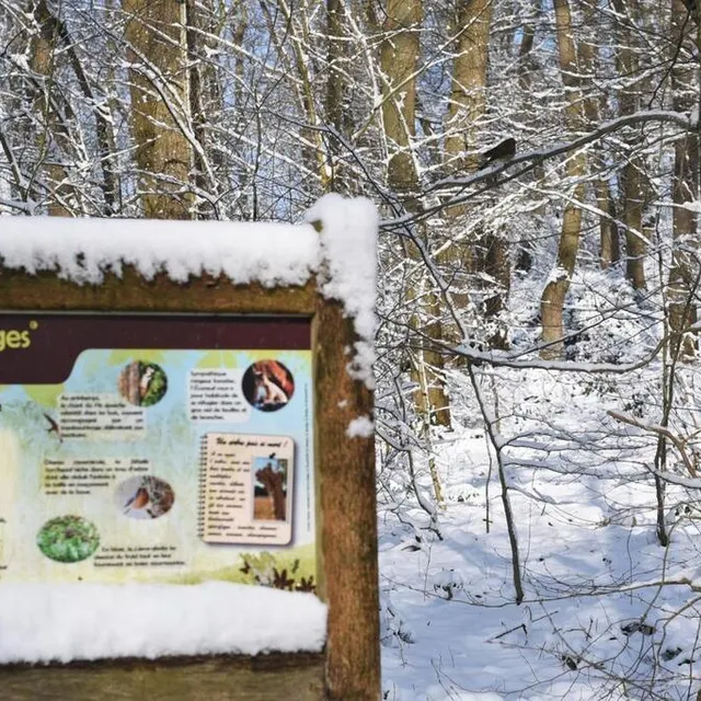 photo sablé-sur-sarthe.  ©  le maine libre