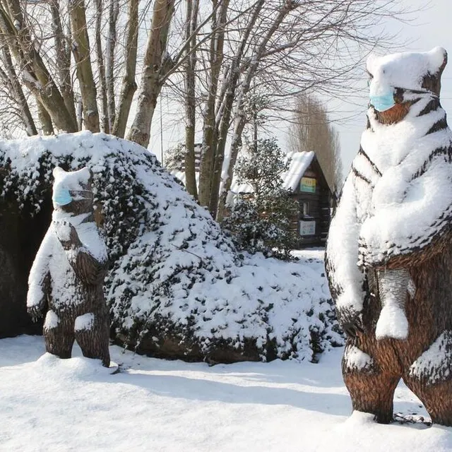 photo a la flèche, même les ours sont pétrifiés de froid.  ©  le maine libre