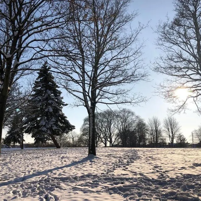 photo près de l’arrêt de tram cadran-epine  ©  le maine libre