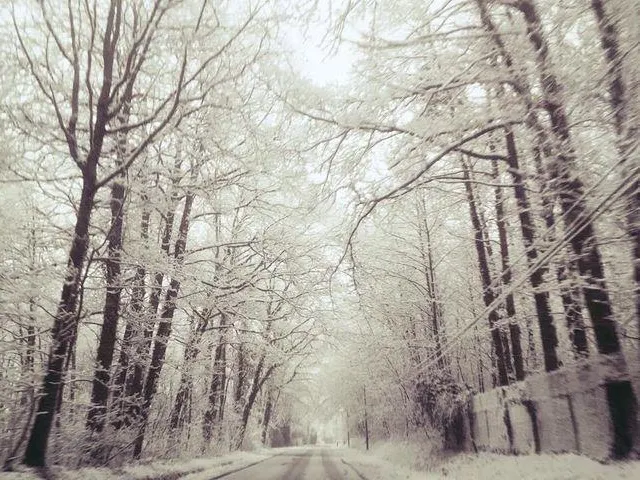 photo lombron drapé de son manteau blanc.  ©  lorenza sanchez – facebook