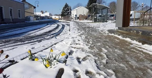 photo  les flocons de neige disputent aux jonquilles naissantes la couleur de la saison aux abords de la halte ter de la guierche (sarthe), le 10 février 2021.  &copy;  archives ouest-france 