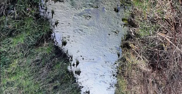 photo  photo prise dimanche 21 février 2021 des fossés près de l’actuel méthaniseur.  &copy;  de 