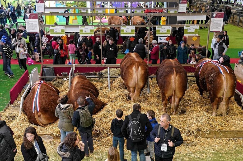 Comment le Salon de l’agriculture a bien tracé son sillon Angers