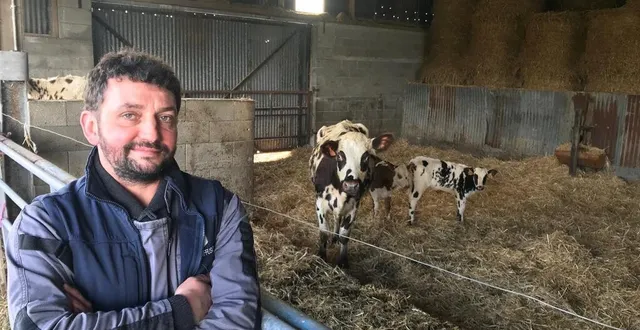 photo  david barbot, éleveur laitier à saint-amand (manche), devant deux veaux laitiers âgés d’un mois et leur vache nourrice.  &copy;  ouest-france 