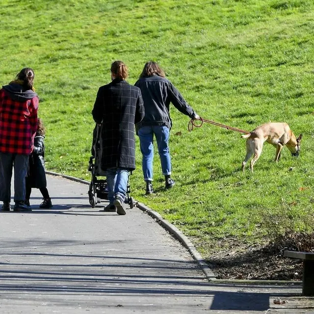 photo un temps printanier au parc banjan.  ©  yvon loue - le maine libre