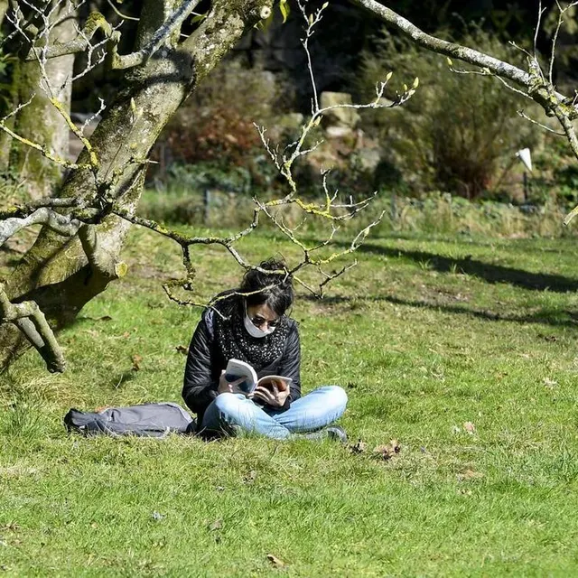 photo petite pause lecteure, sur le gazon du jardin des plantes.  ©  yvon loue - le maine libre