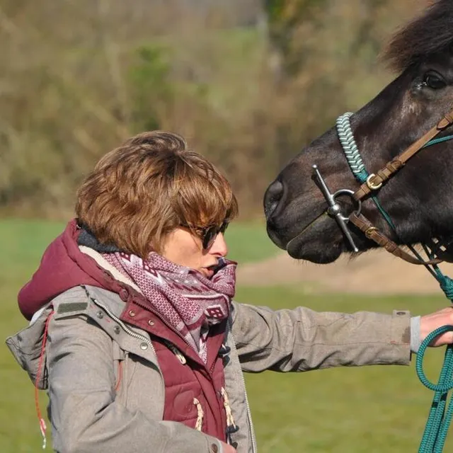 photo travail à la longe au plus près du cheval, avant d’attaquer les obstacles.  ©  le maine libre