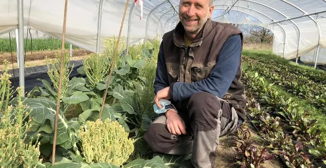 photo  à briollay, pierre dorand produit, multiplie, sélectionne des semences bio pour les grandes maisons semencières et pour les maraîchers.  &copy;  ouest-france 