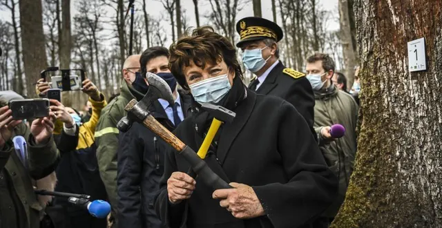 photo  ce vendredi 5 mars, lors de la venue de roselyne bachelot et de julien denormandie, il a été annoncé que huit chênes sarthois seraient utilisés pour la reconstruction de la cathédrale notre-dame de paris.  &copy;  le maine libre - denis lambert 
