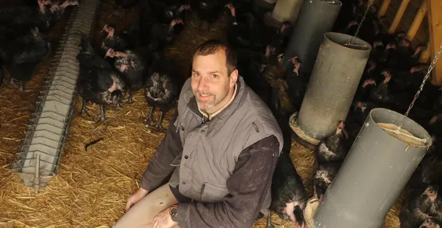 photo  guillaume loyer et ses volailles, plusieurs fois primé à paris au salon de l’agriculture. il a, cette année, obtenu le prix d’excellence. le seul sarthois à ce niveau cette année, dans les catégories « produits et vins ».  &copy;  archive ouest-france 