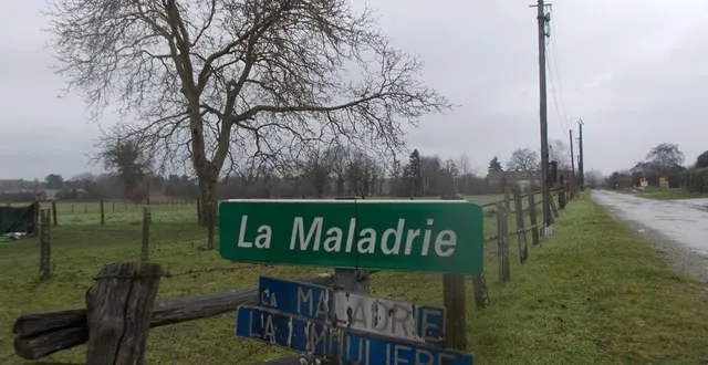 photo  vingt maisons seront construites au lieu-dit la maladrie, quatorze en logement social et six en accession à la propriété.  &copy;  le maine libre 