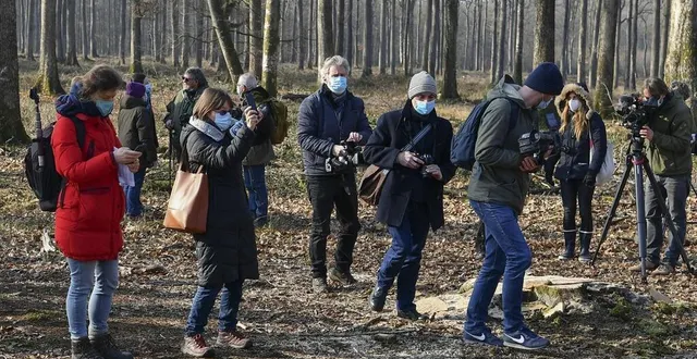 photo  de nombreux journalistes, des médias français et même internationaux, ont filmé l’abattage des chênes de bercé qui serviront à la restauration de la cathédrale notre-dame de paris.  &copy;  photo le maine libre – yvon loue 