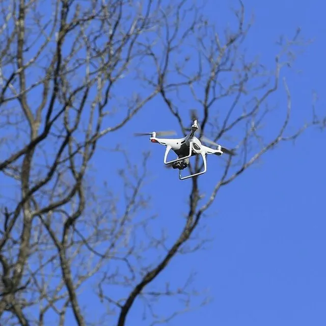 photo des drones dans le ciel de la forêt de bercé.  ©  photo le maine libre – yvon loue