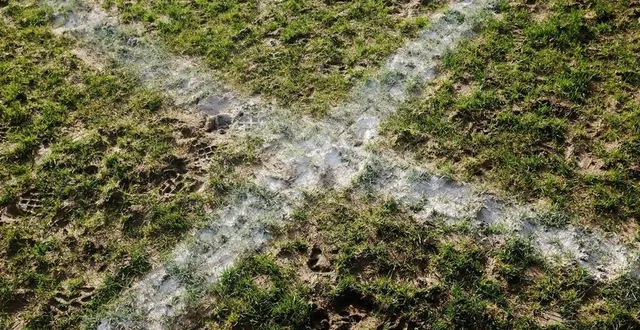 photo  une pratique clandestine du football se développe en dehors des cadres des clubs et des règles sanitaires.  &copy;  jacques blondel 