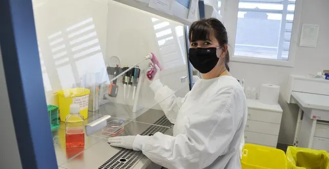 photo  angers, chu?, 10 février 2021. camille savary dans un des laboratoires de l'institut de biologie en santé. cette enseignant-chercheur tente de mettre au point une nouvelle thérapie contre la forme la plus courante du cancer du foie.?  &copy;  anthony pasco 