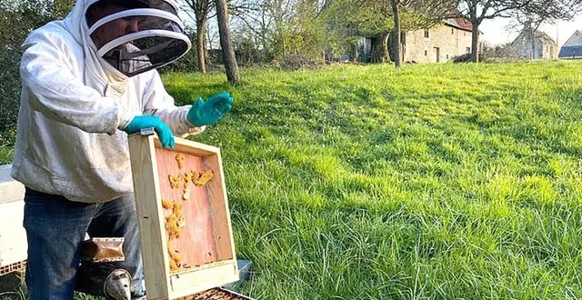photo  mike déborde d’idées, tout cela pour faire partager l’amour qu’il porte à ses colonies, à ses abeilles.  &copy;  ouest-france 