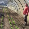 photo  mickaël malandain, maraîcher et gérant du futur locavore, s’active dans sa serre pour ses premiers légumes de saison. 