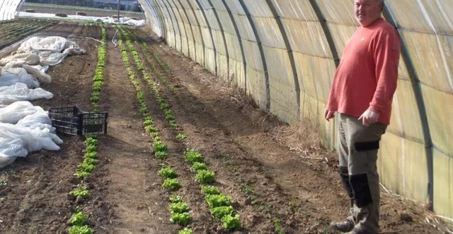 photo  mickaël malandain, maraîcher et gérant du futur locavore, s’active dans sa serre pour ses premiers légumes de saison.  &copy;  ouest-france 