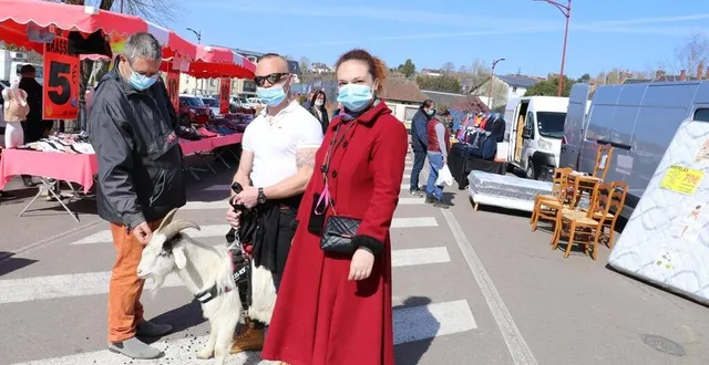 photo  romain et son bouc, bueno, sont en passe de devenir les mascottes du marché de l’aigle. en seront-ils bientôt privés ? ils se sentent « sur la sellette ».  &copy;  ouest-france 