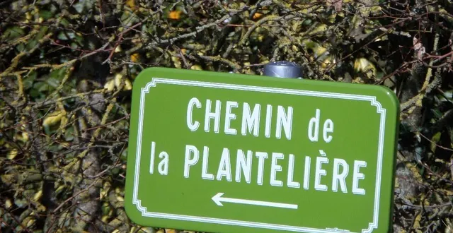 photo  la voie qui conduit au lotissement communal.  &copy;  ouest-france 