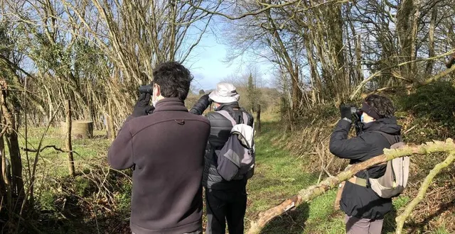 photo  les bénévoles de la lpo des andaines sont équipés de jumelles pour observer de plus près des oiseaux et savoir s’ils vont nicher.  &copy;  ouest-france 