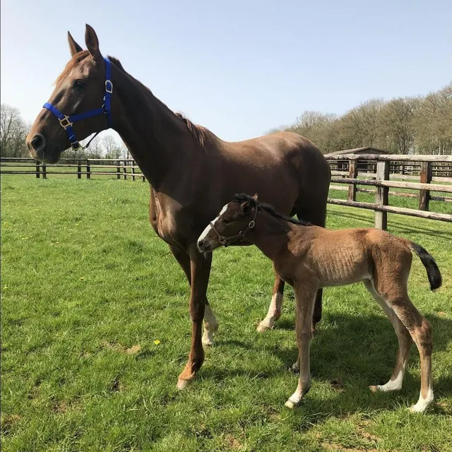 photo la petite liza josselyn et son illustre maman, bélina josselyn.  ©  dr