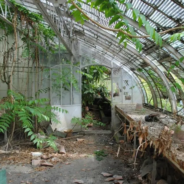 photo une serre du château laissée à l’abandon.  ©  archives le maine libre