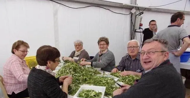 photo  en 2019, les bénévoles préparaient les 500 kilogrammes de pissenlits, pour le service en salle.  &copy;  archives le maine libre 