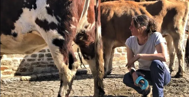 photo  annie crampon possède un troupeau de huit vaches.  &copy;  ouest-france 