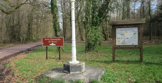 photo  la sarthe est le département le plus boisé de la région. ?  &copy;  archives le maine libre 